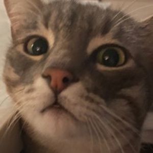 Meet your Posher, Patrick